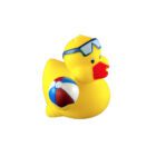 Beach-Ball-Duck