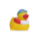 Lifeguard-Duck